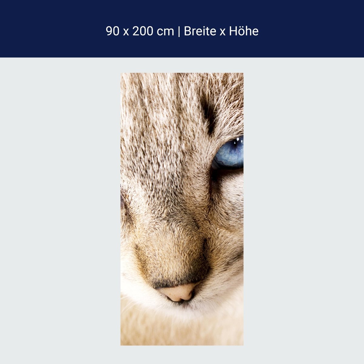 Duschwand Nettes weißes Katzenporträt M1028 Duschwand Nettes weißes Katzenporträt M1028