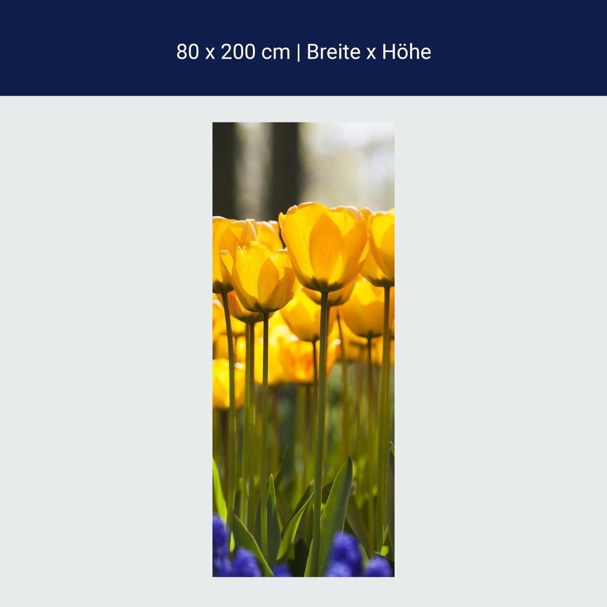 Duschwand Tulpen im Garten M1030 Duschwand Tulpen im Garten M1030