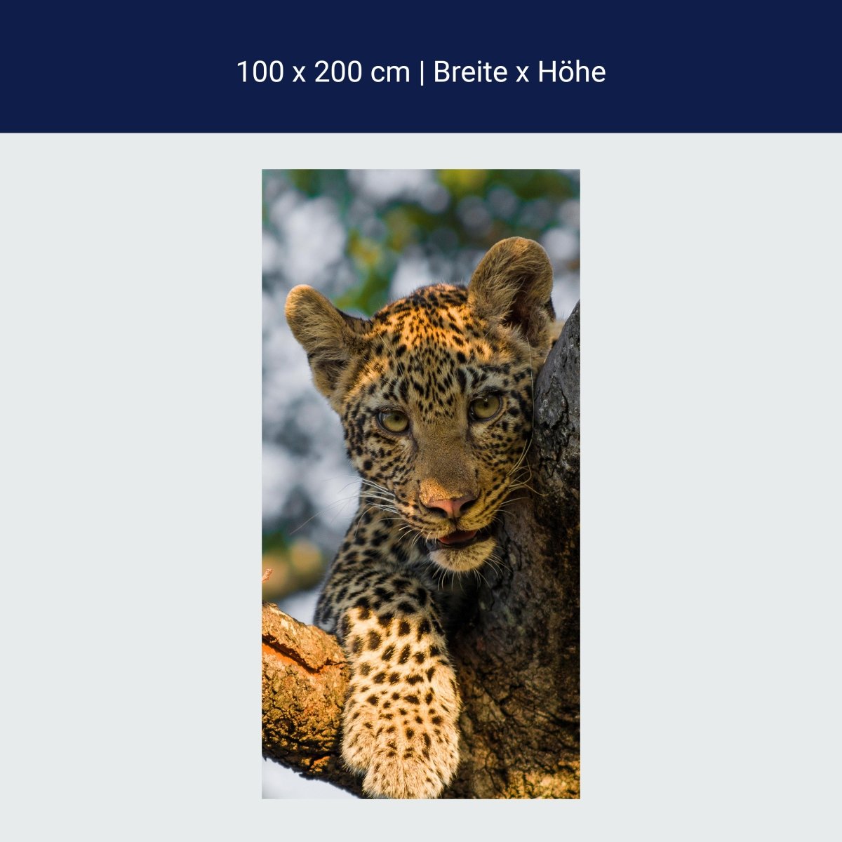 Duschwand Leopard in Südafrika M1032 Duschwand Leopard in Südafrika M1032