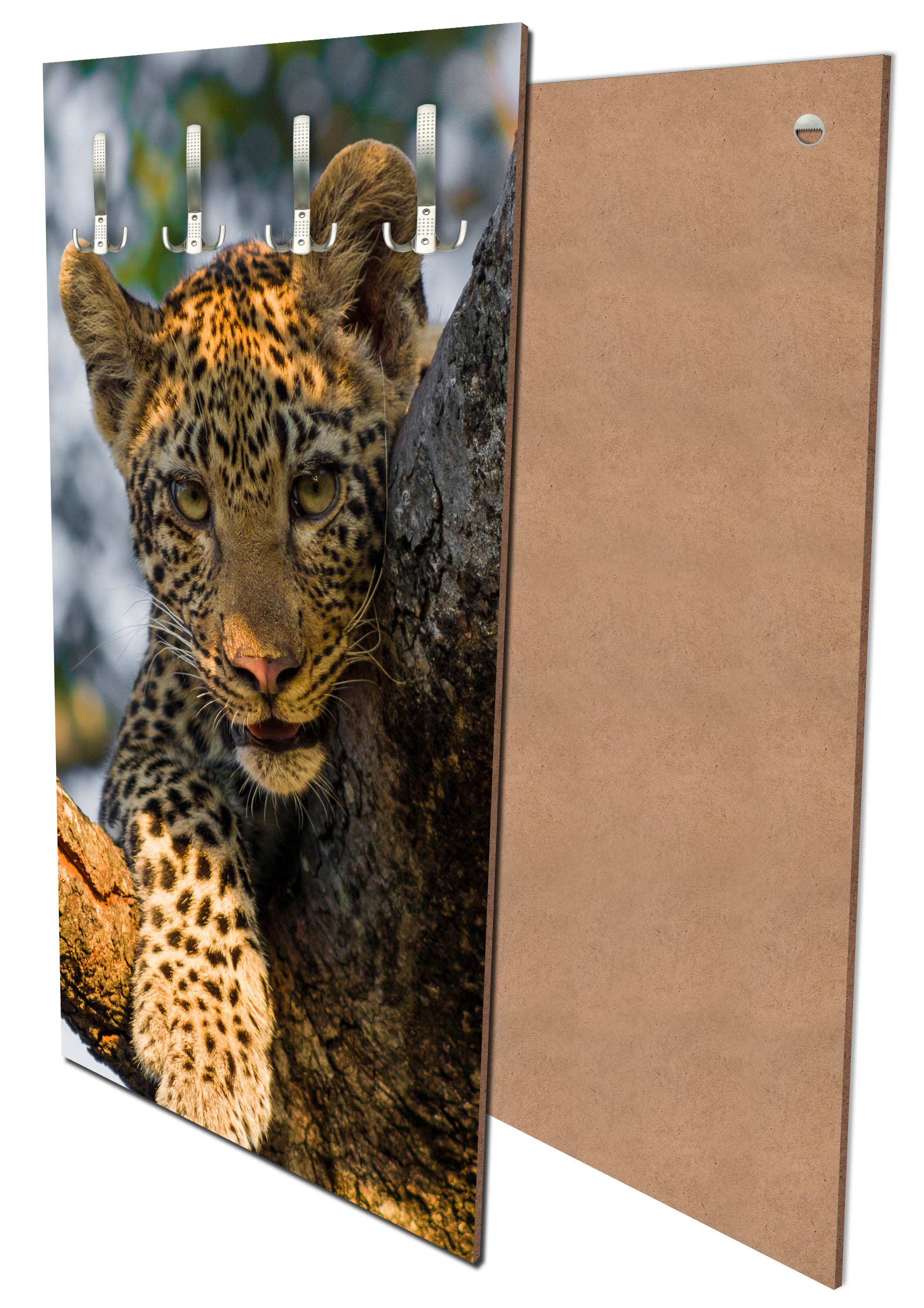 Garderobe Leopard in Südafrika M1032 entdecken - Bild 1 Garderobe Leopard in Südafrika M1032 entdecken - Bild 1
