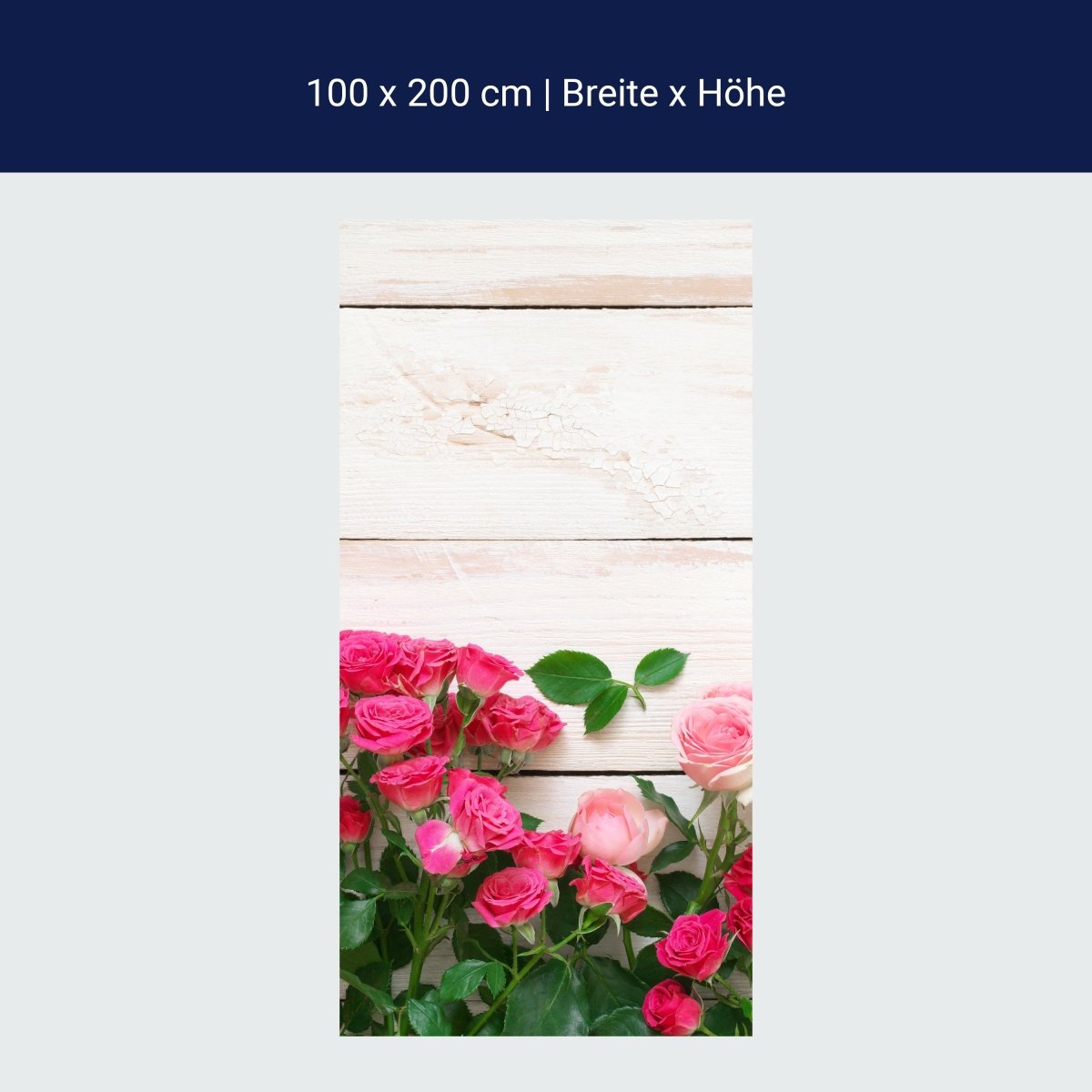 Duschwand Rosa und karminrote Rosen M1034