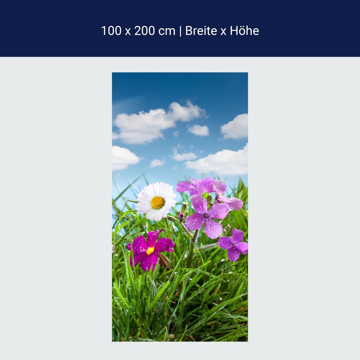 Duschwand Blühende Wiese M1044 Duschwand Blühende Wiese M1044