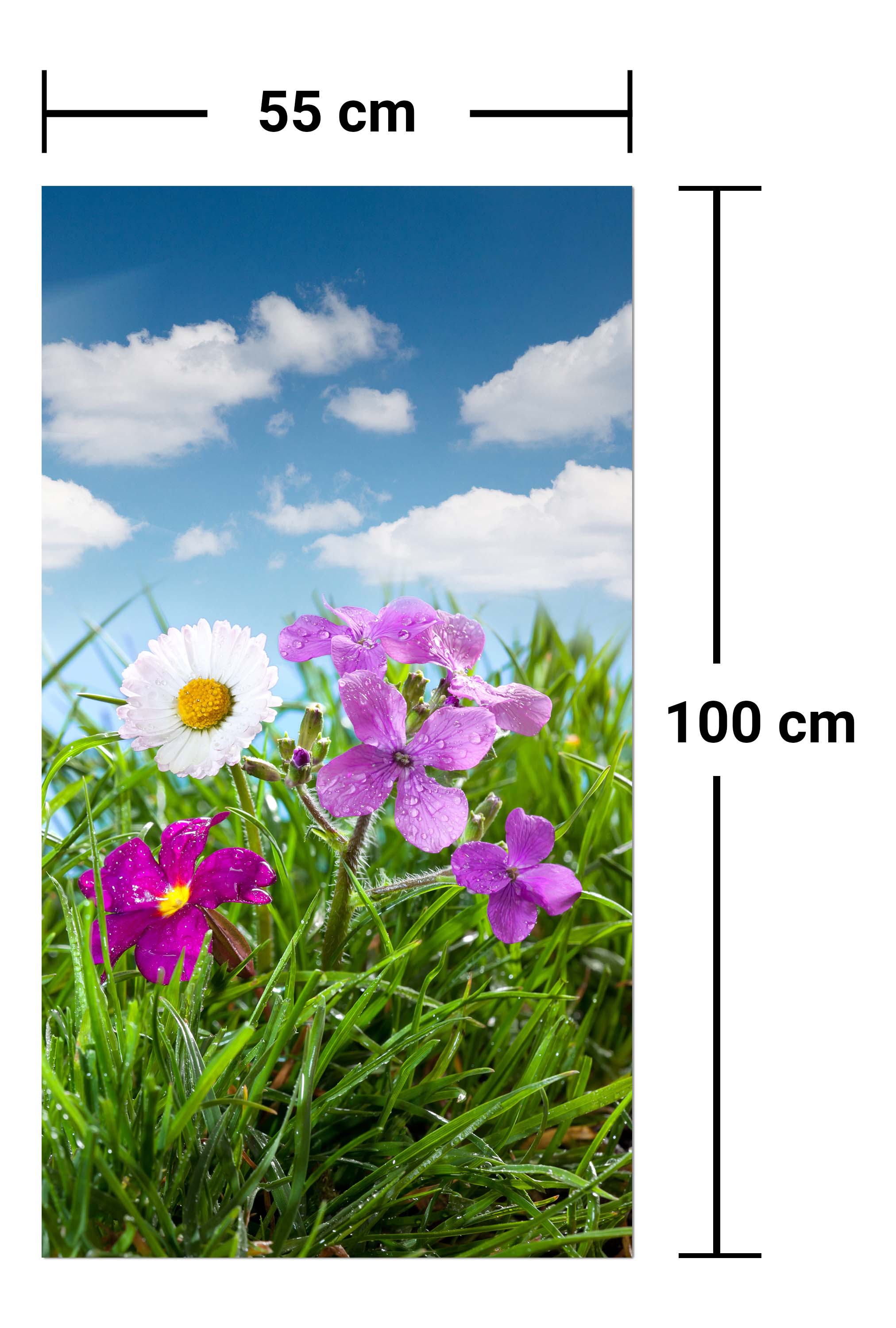 Garderobe Blühende Wiese unter blauem Himmel M1044 entdecken - Bild 7 Garderobe Blühende Wiese unter blauem Himmel M1044 entdecken - Bild 7