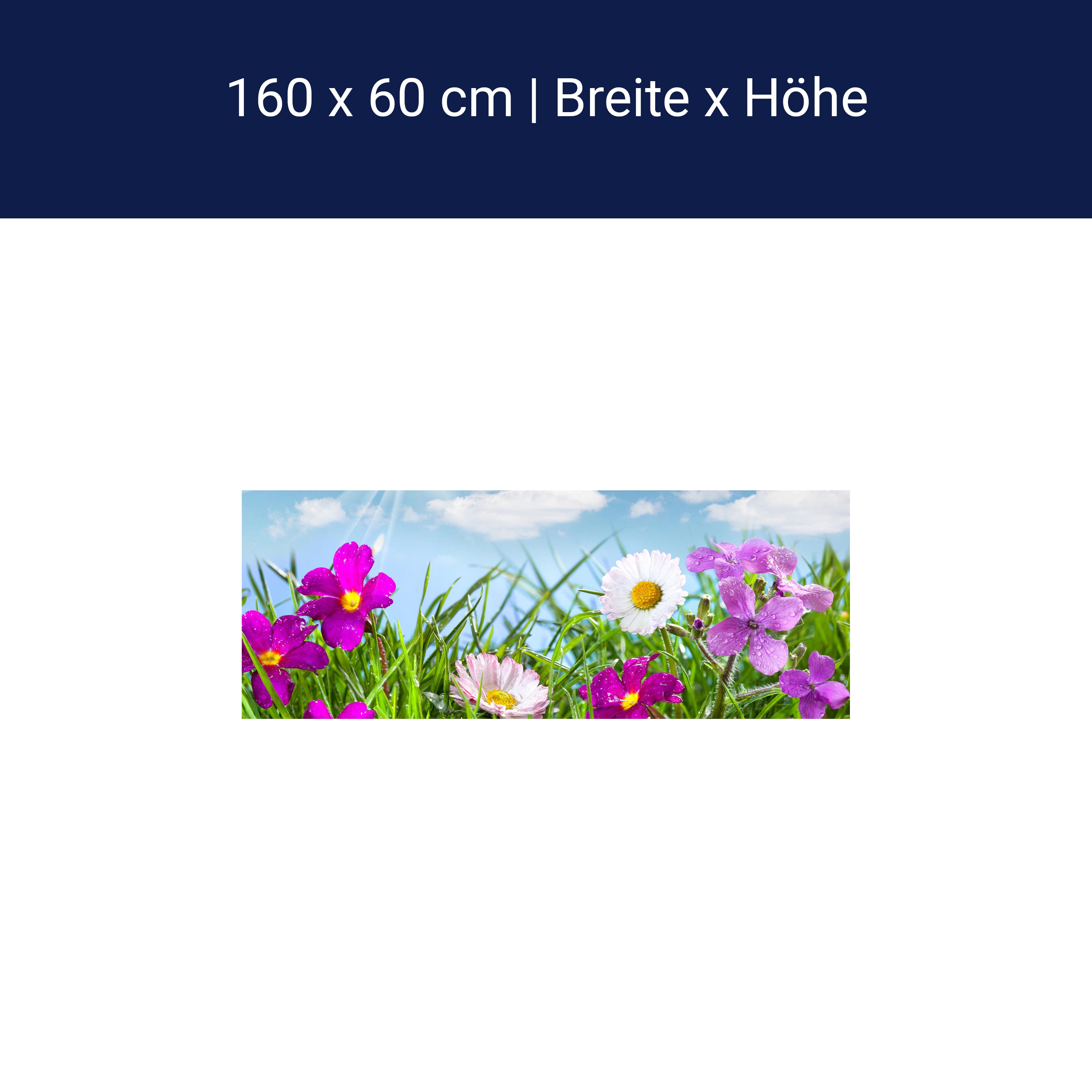 Küchenrückwand Blühende Wiese unter blauem Himmel M1044 Küchenrückwand Blühende Wiese unter blauem Himmel M1044