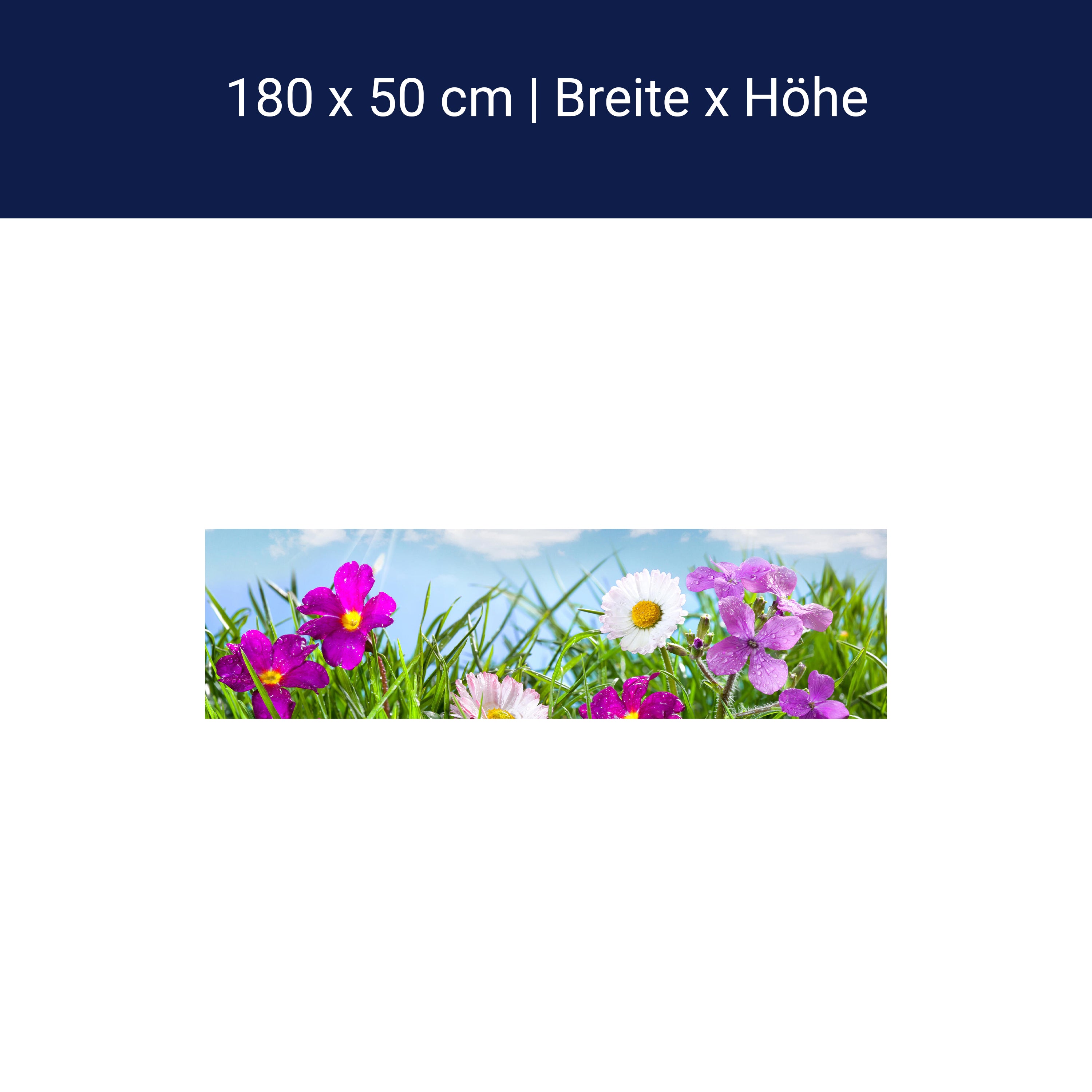 Küchenrückwand Blühende Wiese unter blauem Himmel M1044 Küchenrückwand Blühende Wiese unter blauem Himmel M1044