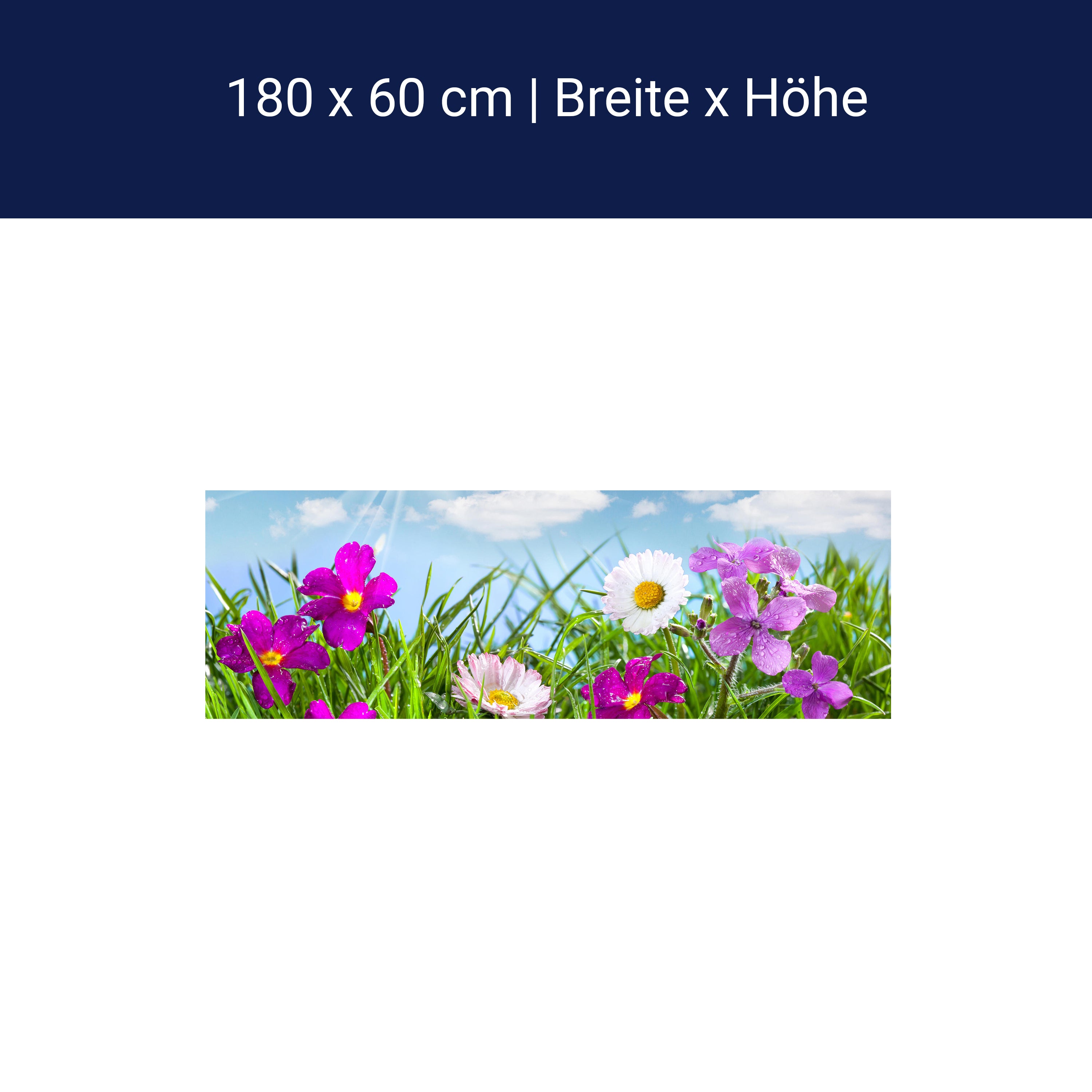 Küchenrückwand Blühende Wiese unter blauem Himmel M1044 Küchenrückwand Blühende Wiese unter blauem Himmel M1044
