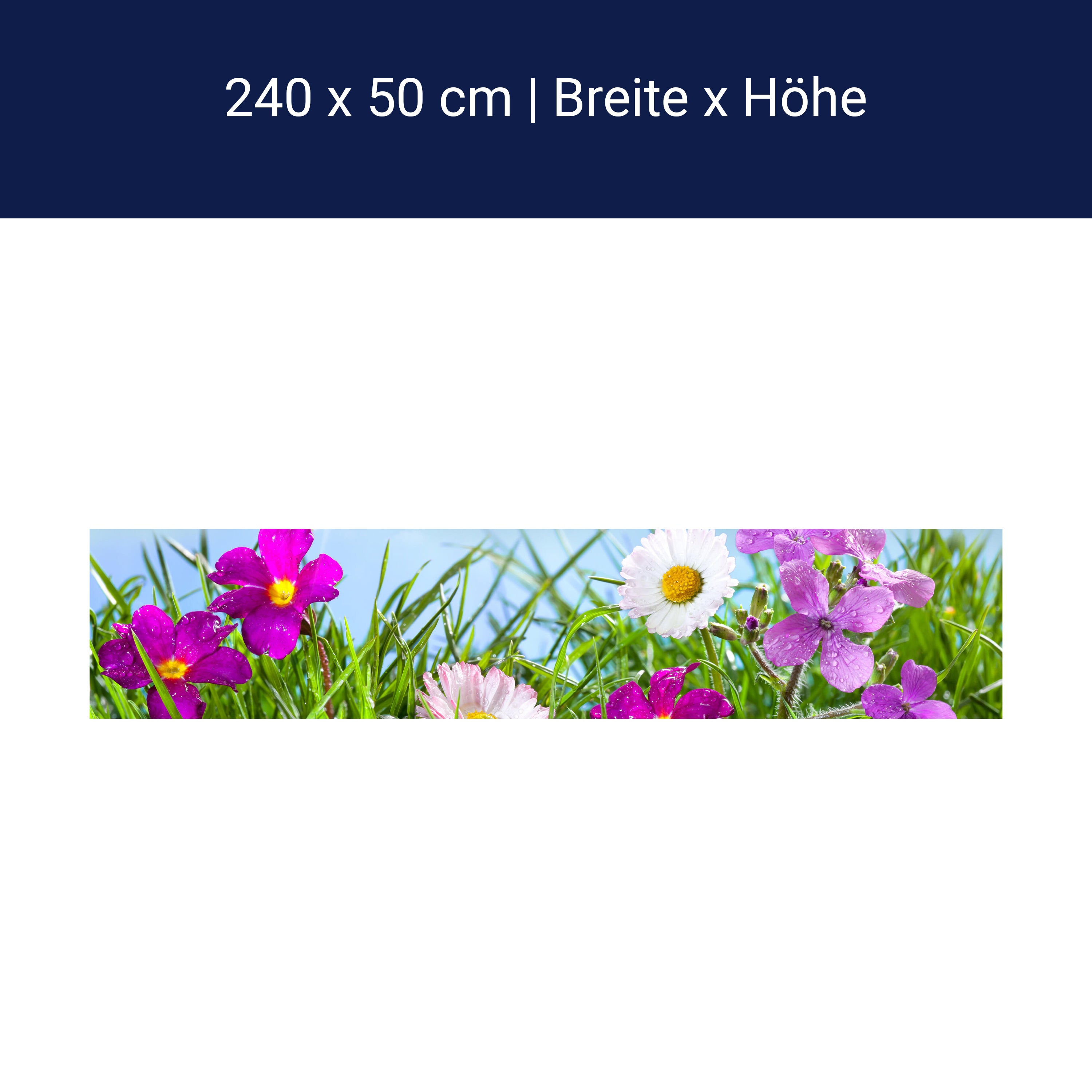 Küchenrückwand Blühende Wiese unter blauem Himmel M1044 Küchenrückwand Blühende Wiese unter blauem Himmel M1044