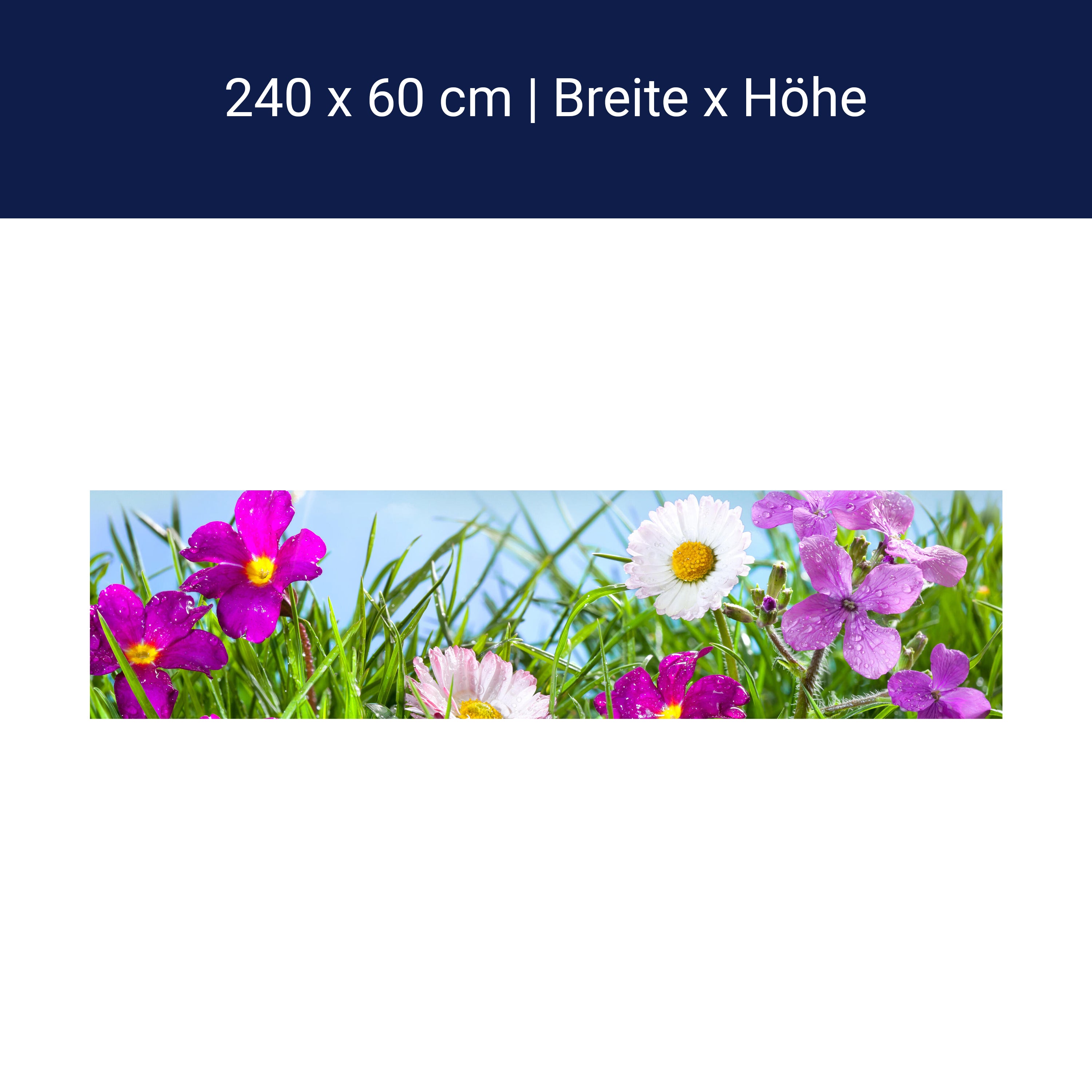 Küchenrückwand Blühende Wiese unter blauem Himmel M1044 Küchenrückwand Blühende Wiese unter blauem Himmel M1044