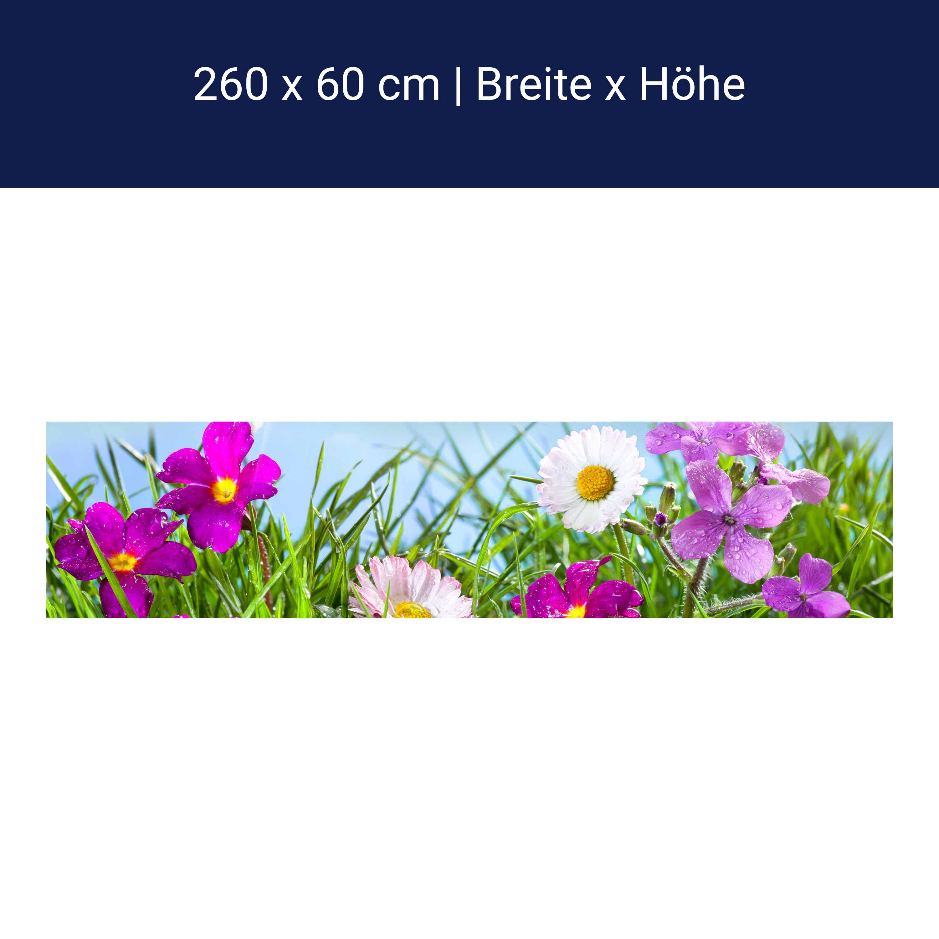 Küchenrückwand Blühende Wiese unter blauem Himmel M1044 Küchenrückwand Blühende Wiese unter blauem Himmel M1044