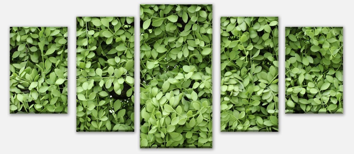Leinwandbild Mehrteiler Grüne Blätter Wand M1045 entdecken - Bild 1 Leinwandbild Mehrteiler Grüne Blätter Wand M1045 entdecken - Bild 1