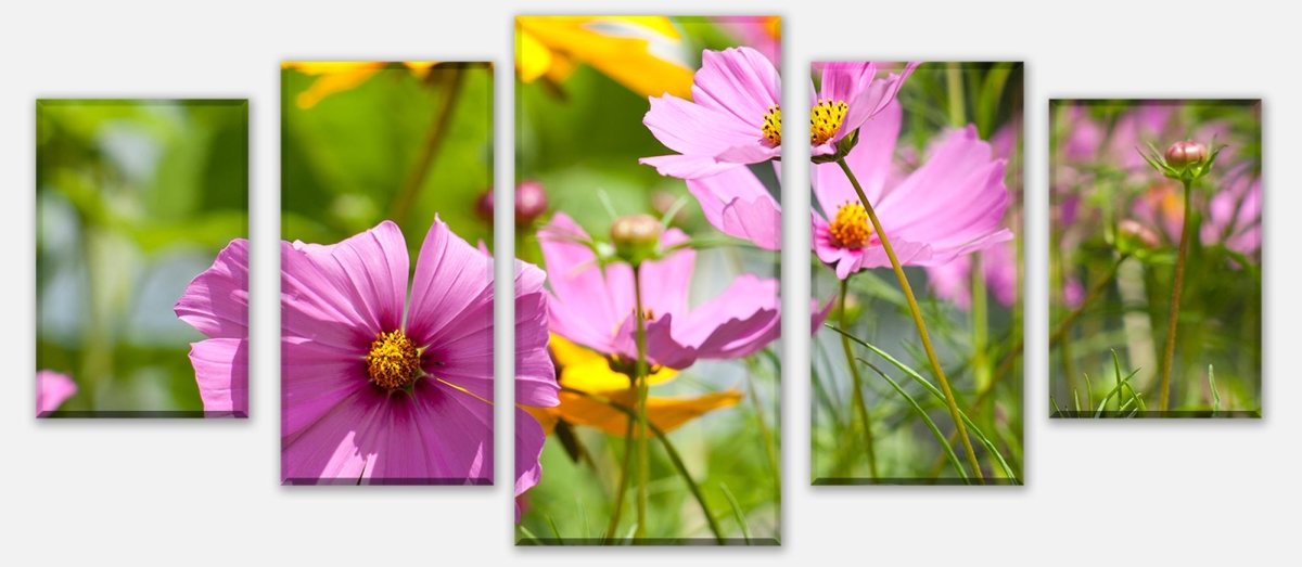 Leinwandbild Mehrteiler Schöne Frühlingsblumen M1048 entdecken - Bild 1 Leinwandbild Mehrteiler Schöne Frühlingsblumen M1048 entdecken - Bild 1