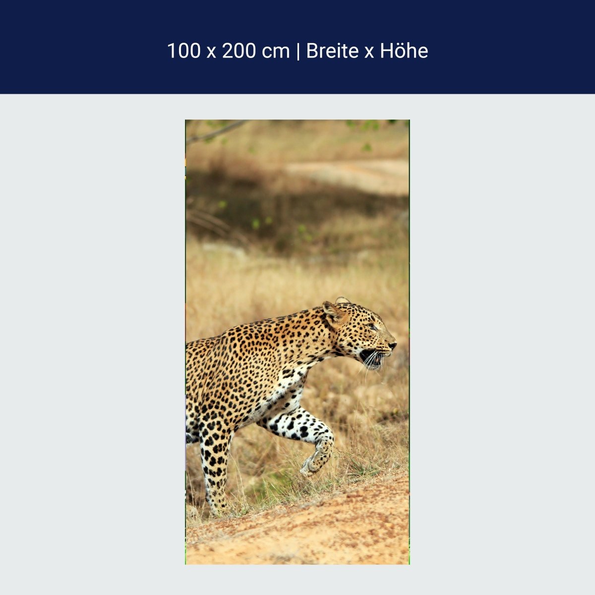 Türtapete Sri-Lankischer Leopard M1058