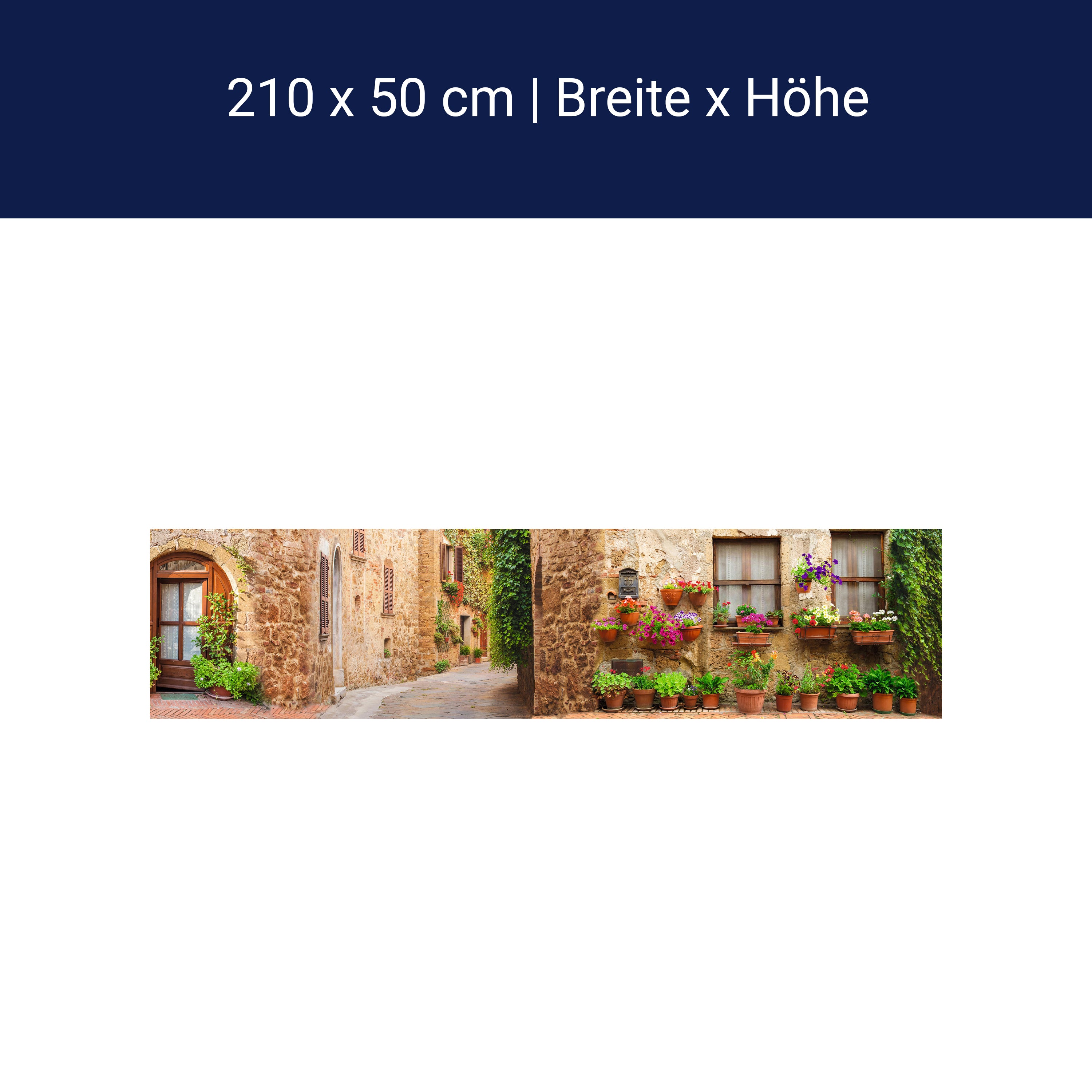 Küchenrückwand Straße Dorf Töpfe Pflanzen Blumen M1074 Küchenrückwand Straße Dorf Töpfe Pflanzen Blumen M1074