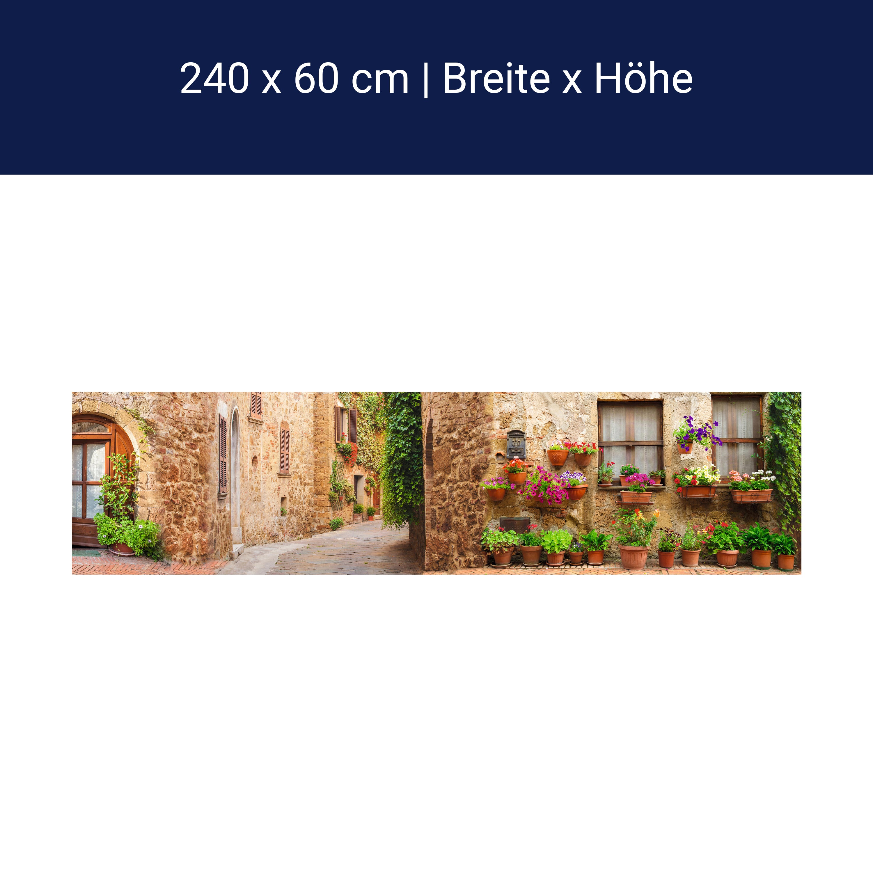 Küchenrückwand Straße Dorf Töpfe Pflanzen Blumen M1074 Küchenrückwand Straße Dorf Töpfe Pflanzen Blumen M1074