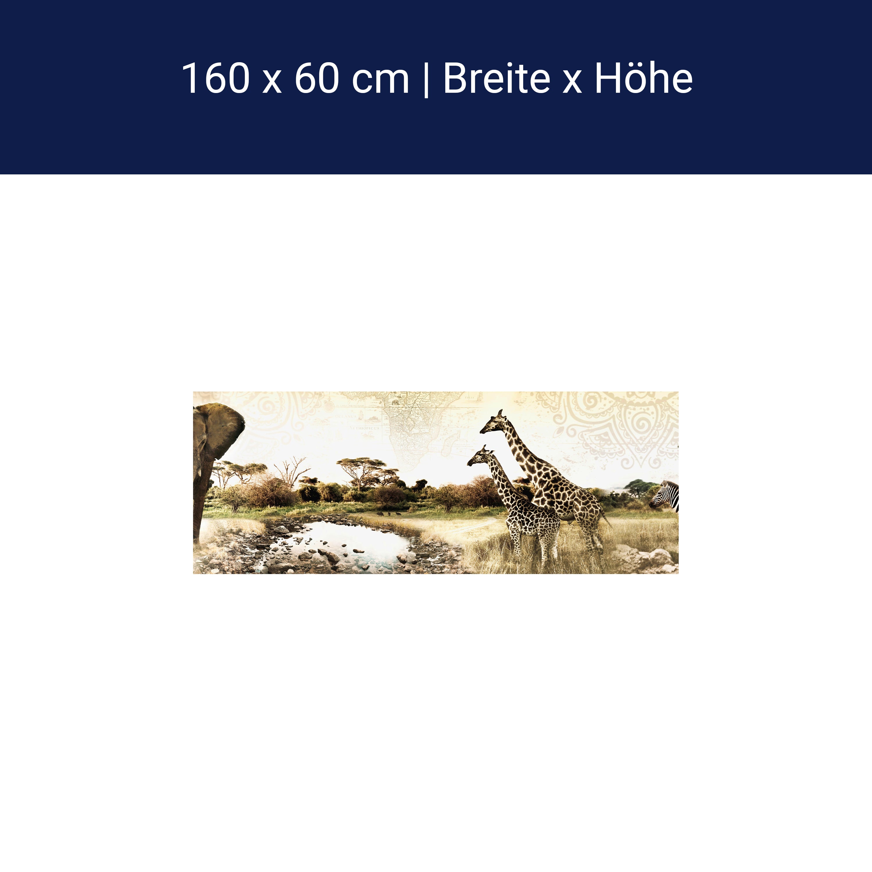Küchenrückwand Afrika Elefant Giraffe Zebra Savanne M1084 Küchenrückwand Afrika Elefant Giraffe Zebra Savanne M1084