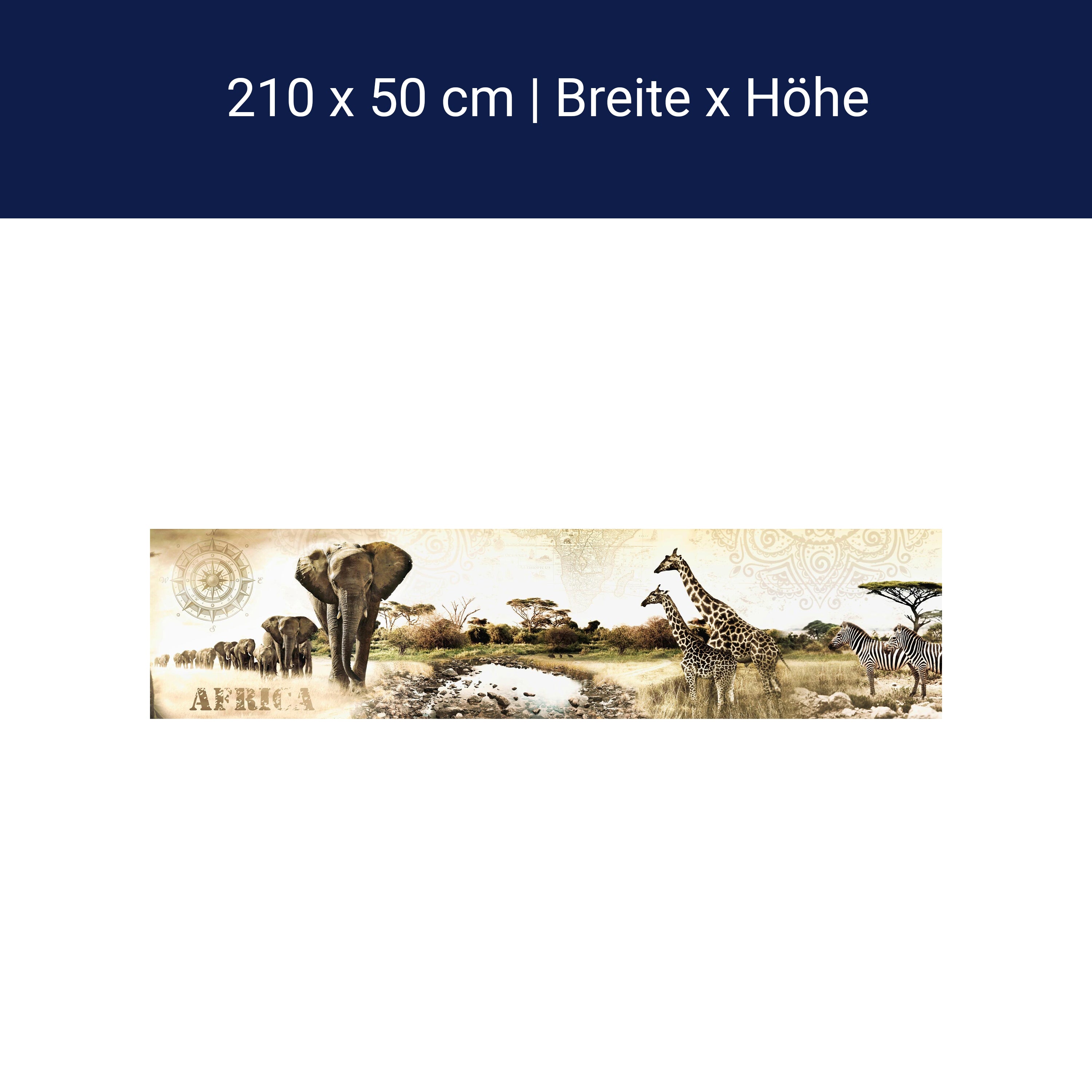 Küchenrückwand Afrika Elefant Giraffe Zebra Savanne M1084 Küchenrückwand Afrika Elefant Giraffe Zebra Savanne M1084