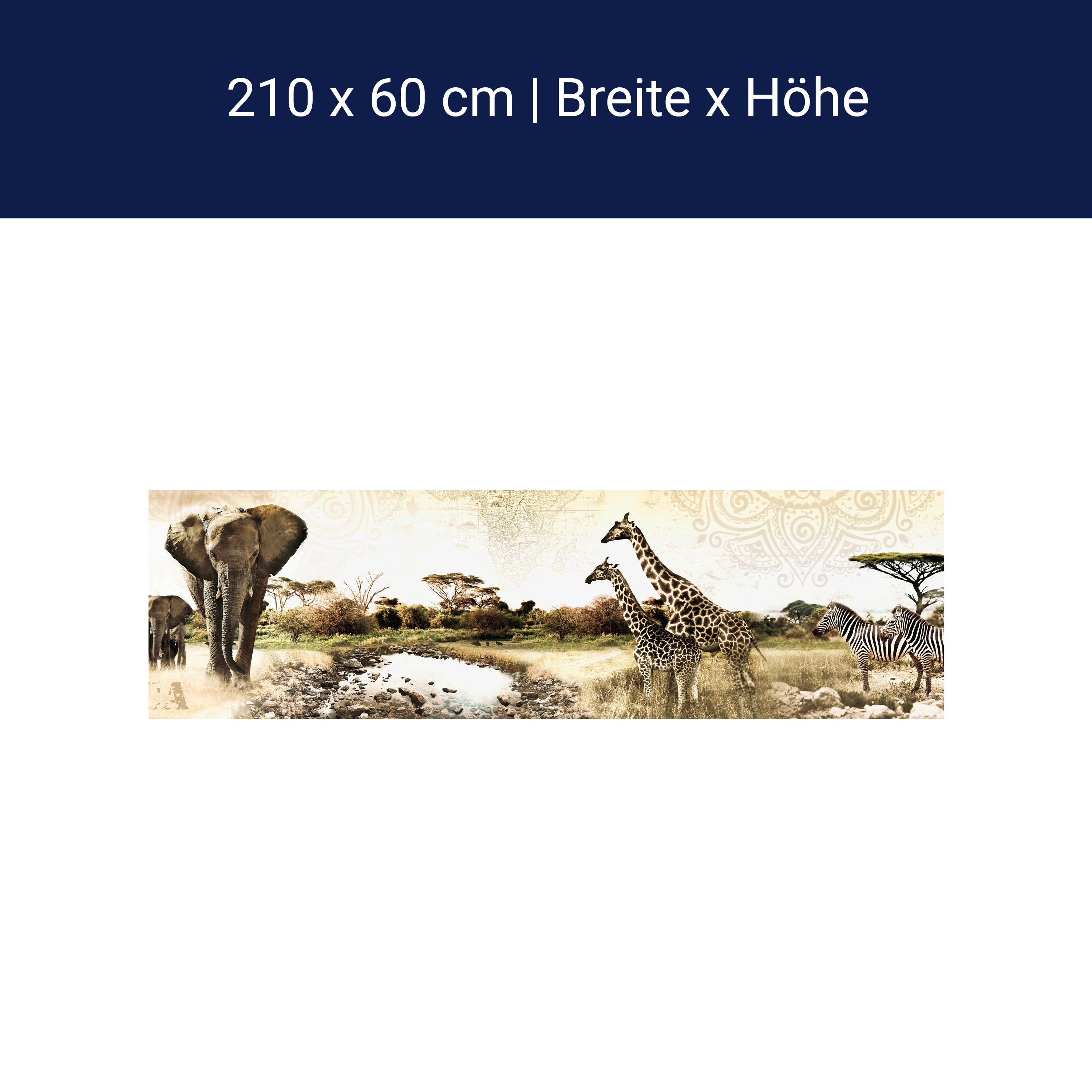 Küchenrückwand Afrika Elefant Giraffe Zebra Savanne M1084 Küchenrückwand Afrika Elefant Giraffe Zebra Savanne M1084