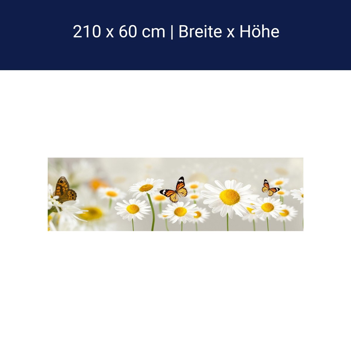 Küchenrückwand Gänseblümchen Schmetterlinge M1095 Küchenrückwand Gänseblümchen Schmetterlinge M1095