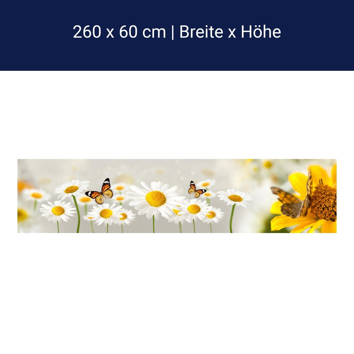 Küchenrückwand Gänseblümchen Schmetterlinge M1095 Küchenrückwand Gänseblümchen Schmetterlinge M1095