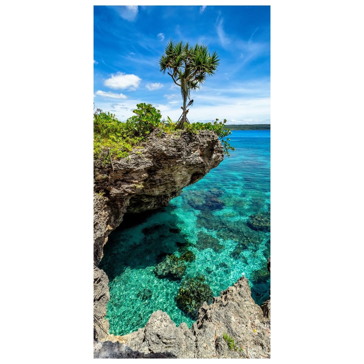 Türtapete Palme auf Fels-klippe, Meer, Ozean M1111 - Bild 2