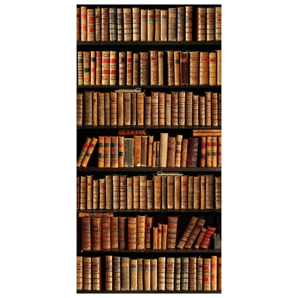 Türtapete altes Bücher-regal, Schrank, Buch, Roman M1117 - Bild 2