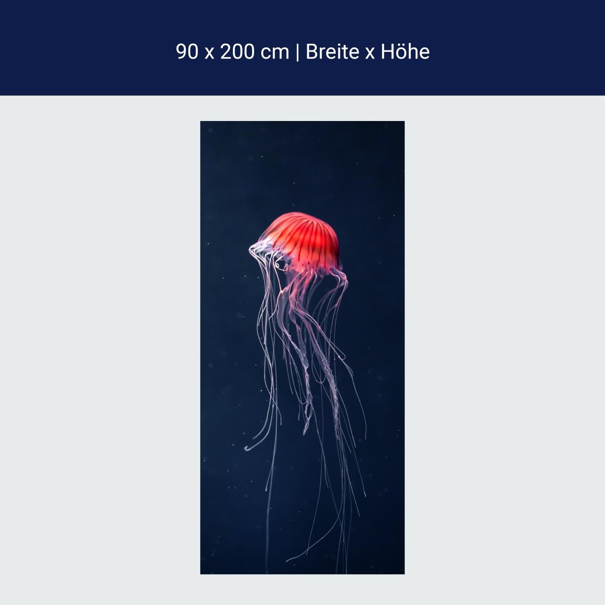Türtapete Rote Qualle im Meer, Dunkelheit, Tier M1121