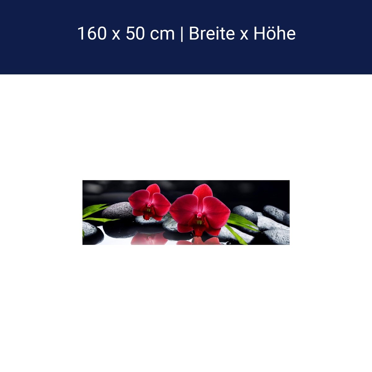 Küchenrückwand Orchidee rot Steine schwarz tropfen Spie M1125