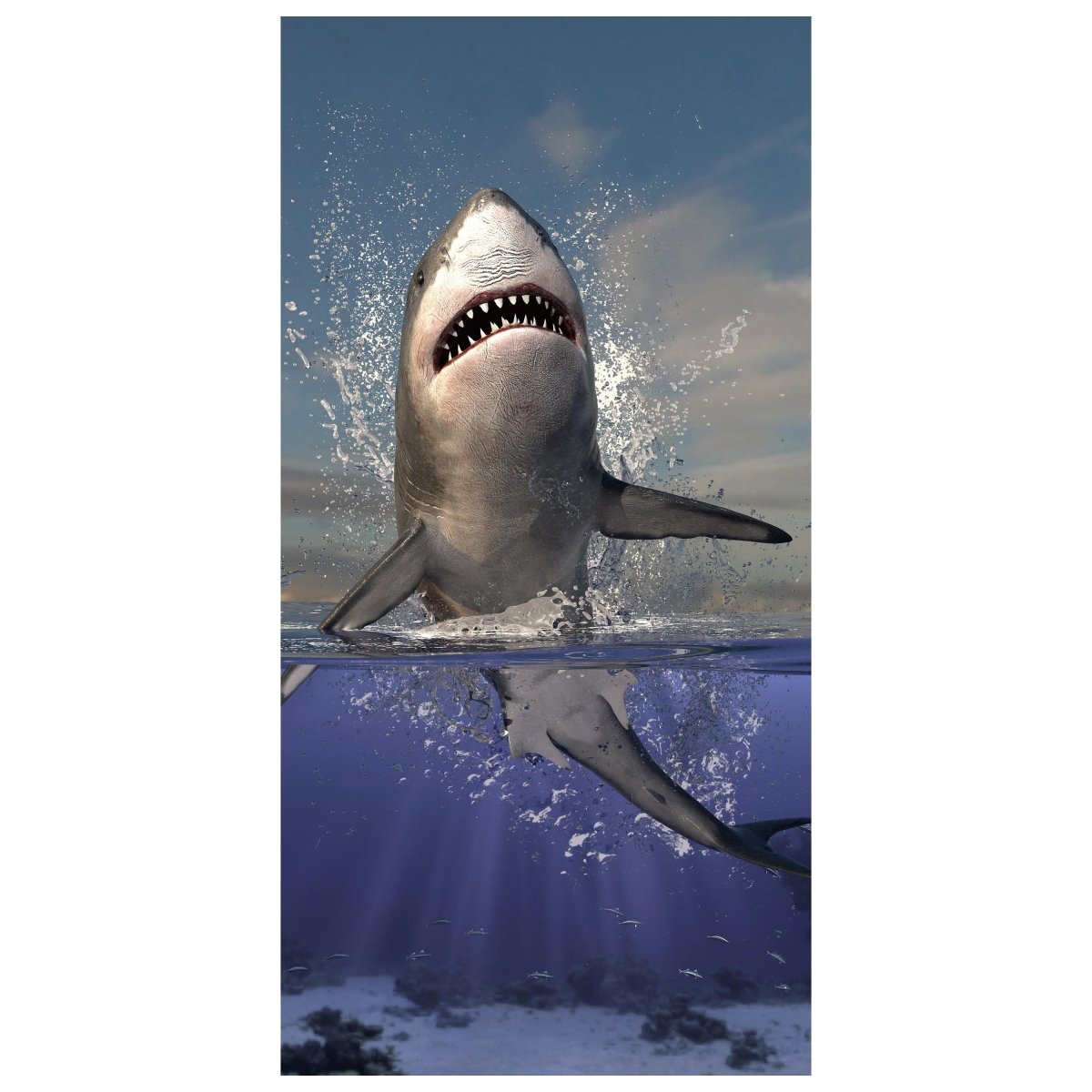 Türtapete springender Hai, Unter-wasser, Raub-tier M1130 - Bild 2