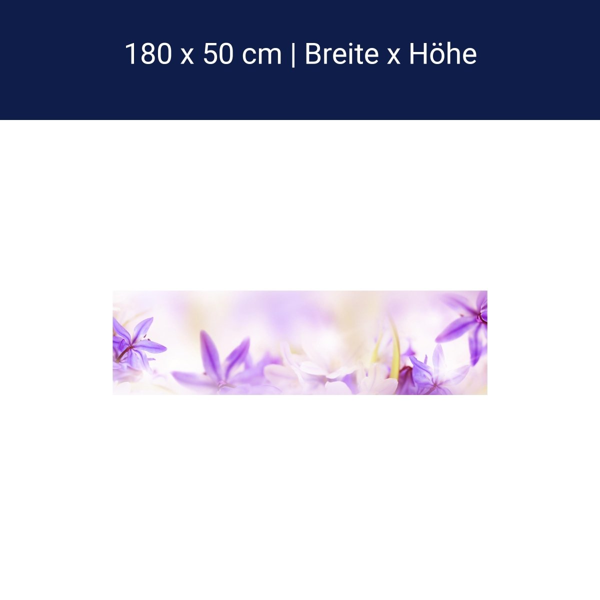 Küchenrückwand Lila Natur Blume Lilie Fokus Weichzeichn M1135 Küchenrückwand Lila Natur Blume Lilie Fokus Weichzeichn M1135