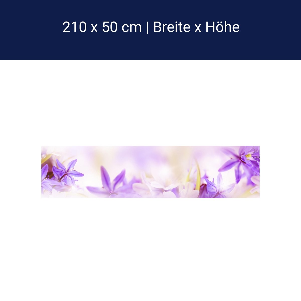 Küchenrückwand Lila Natur Blume Lilie Fokus Weichzeichn M1135 Küchenrückwand Lila Natur Blume Lilie Fokus Weichzeichn M1135