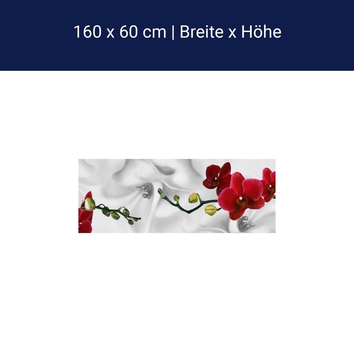 Küchenrückwand Orchideen Rot Weiß Pflanze Hintergrund M1148