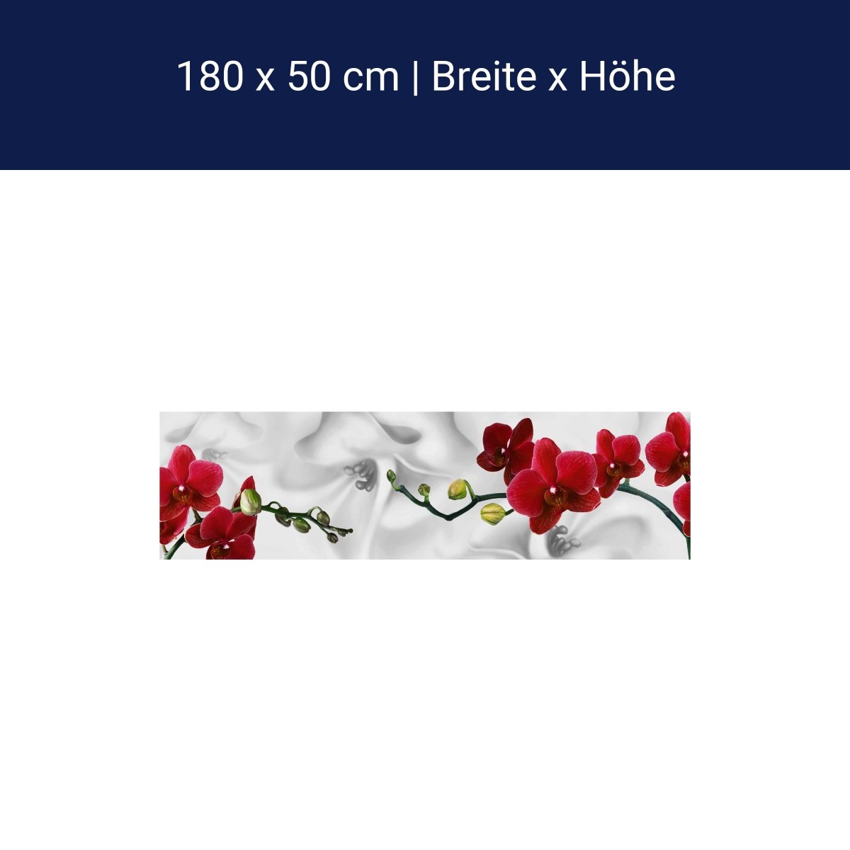 Küchenrückwand Orchideen Rot Weiß Pflanze Hintergrund M1148