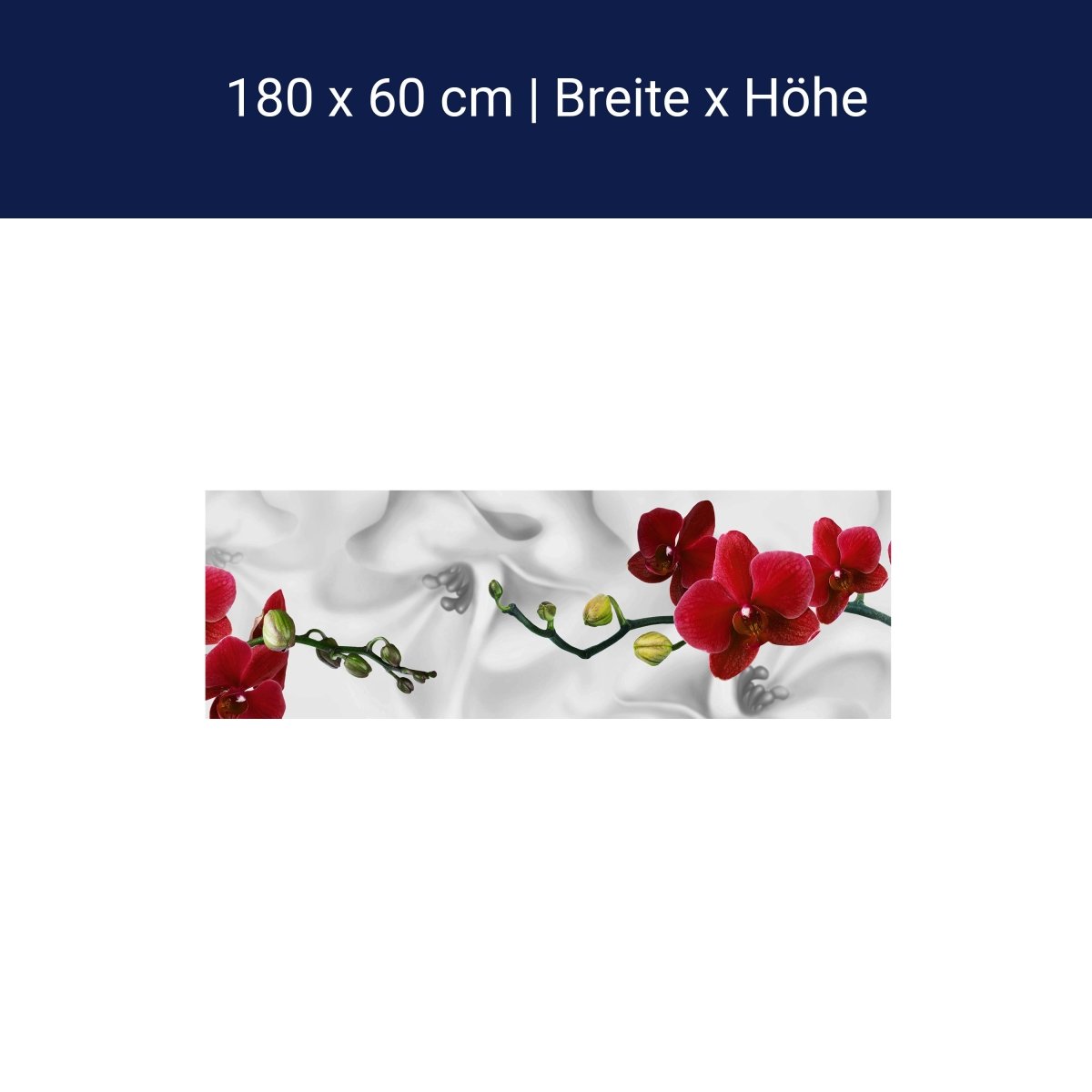 Küchenrückwand Orchideen Rot Weiß Pflanze Hintergrund M1148