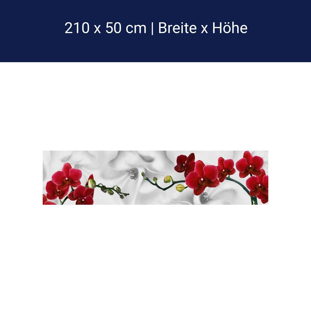 Küchenrückwand Orchideen Rot Weiß Pflanze Hintergrund M1148