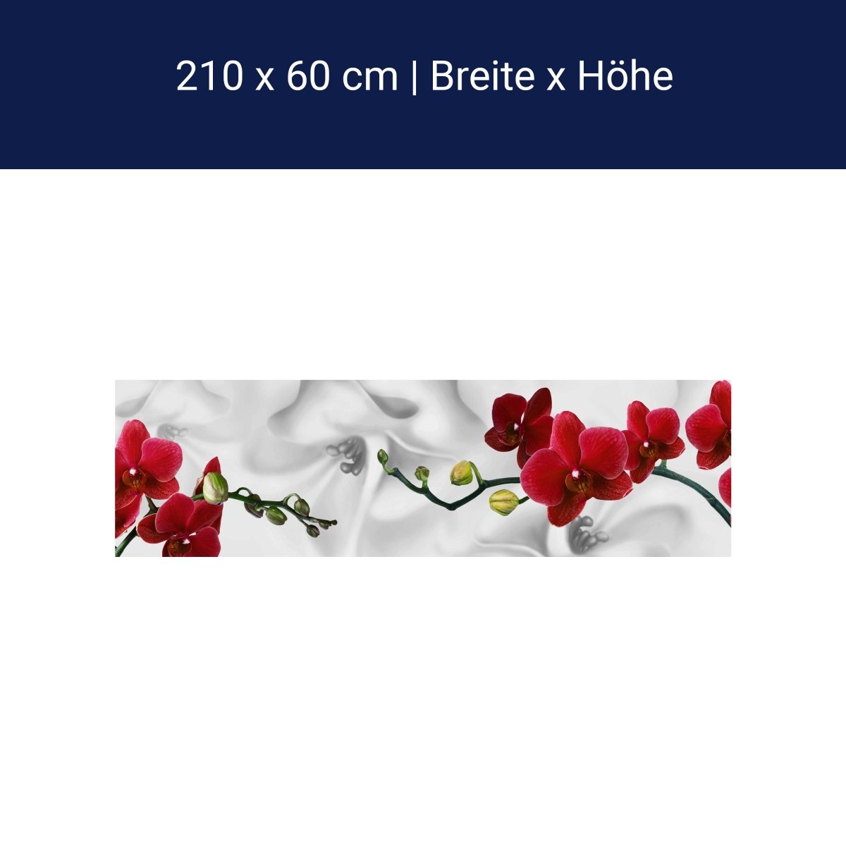 Küchenrückwand Orchideen Rot Weiß Pflanze Hintergrund M1148 Küchenrückwand Orchideen Rot Weiß Pflanze Hintergrund M1148