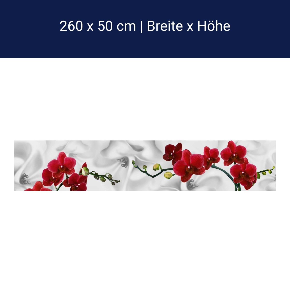 Küchenrückwand Orchideen Rot Weiß Pflanze Hintergrund M1148 Küchenrückwand Orchideen Rot Weiß Pflanze Hintergrund M1148
