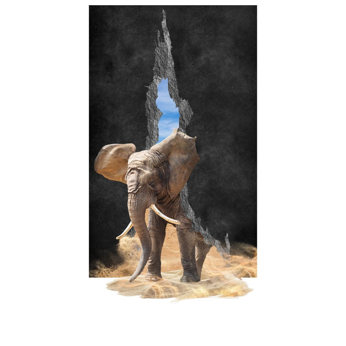 Türtapete Elefant Tür-durchbruch, Sand, Riss M1148 - Bild 2