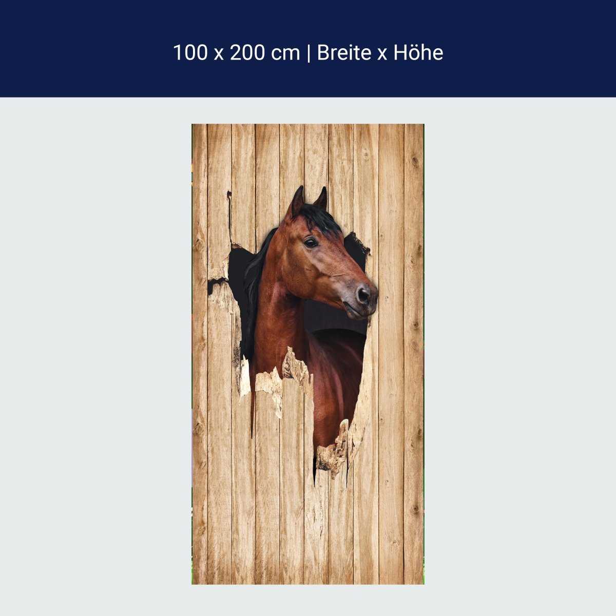 Türtapete braunes Pferd schaut durch Holzwand, 3D M1156