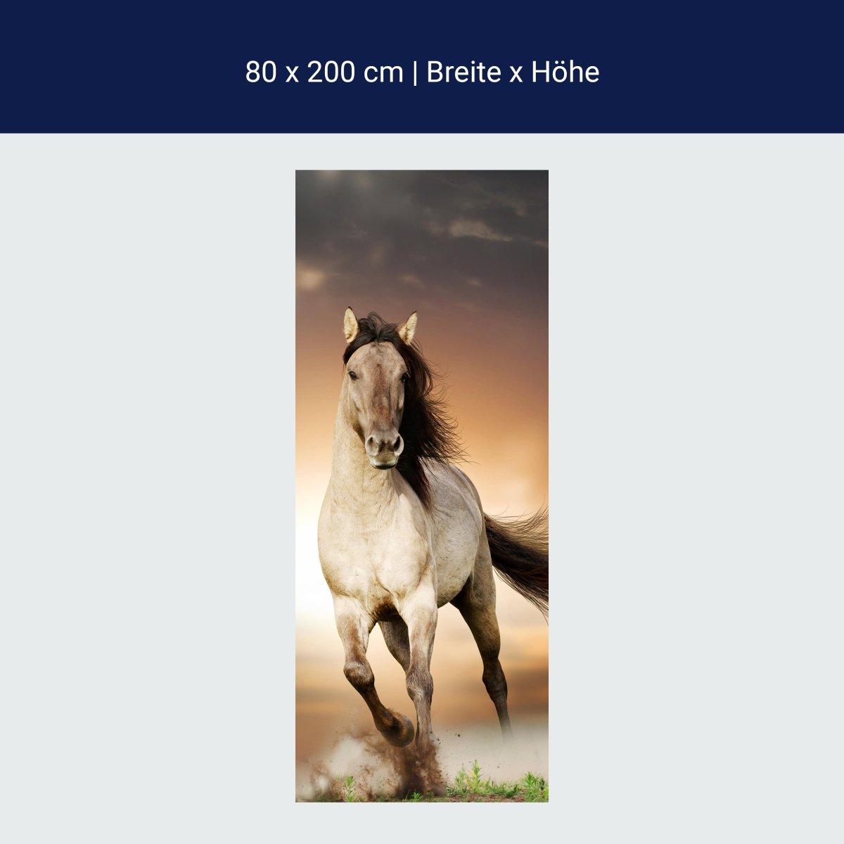 Türtapete Pferd rennt über Wiese, Schimmel, Weiß M1158