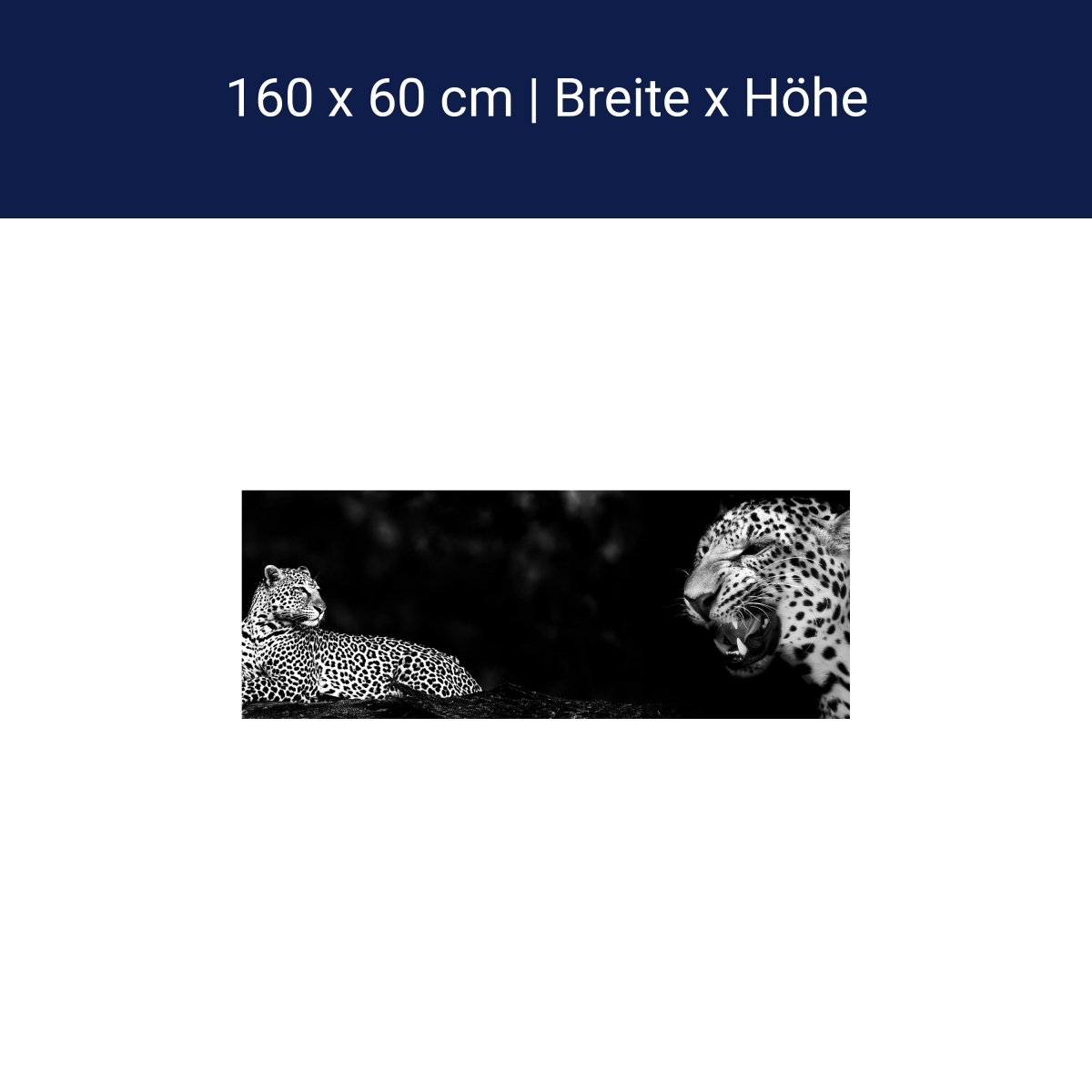 Küchenrückwand Leopard Schwarz Weiß Raubkatze Fauchen M1167