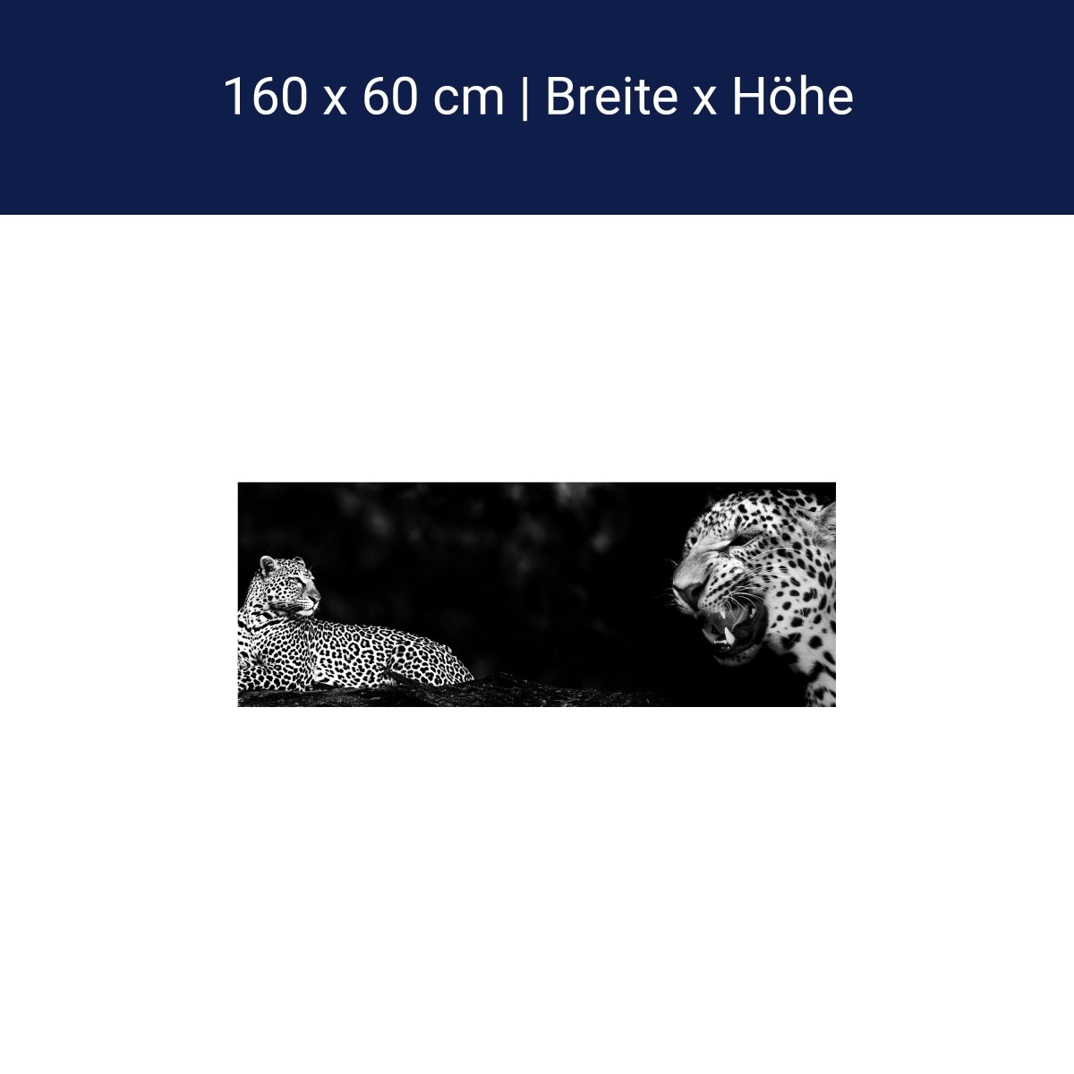 Küchenrückwand Leopard Schwarz Weiß Raubkatze Fauchen M1167 Küchenrückwand Leopard Schwarz Weiß Raubkatze Fauchen M1167