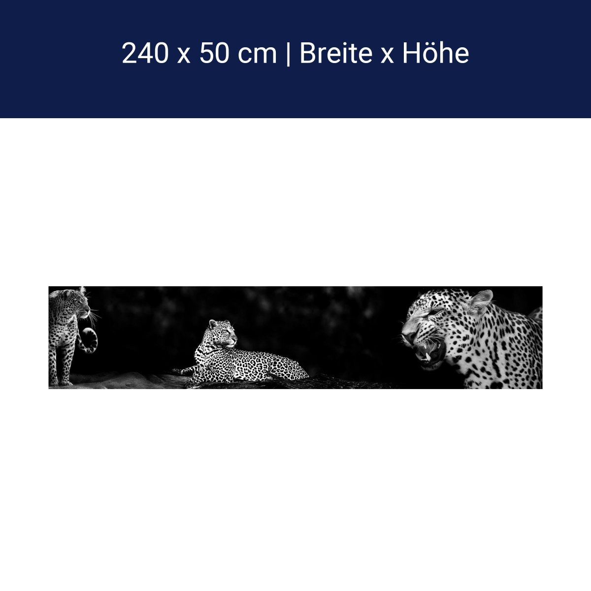 Küchenrückwand Leopard Schwarz Weiß Raubkatze Fauchen M1167 Küchenrückwand Leopard Schwarz Weiß Raubkatze Fauchen M1167