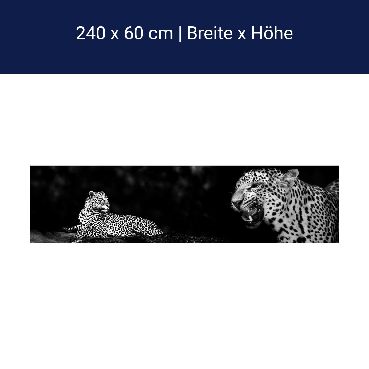 Küchenrückwand Leopard Schwarz Weiß Raubkatze Fauchen M1167