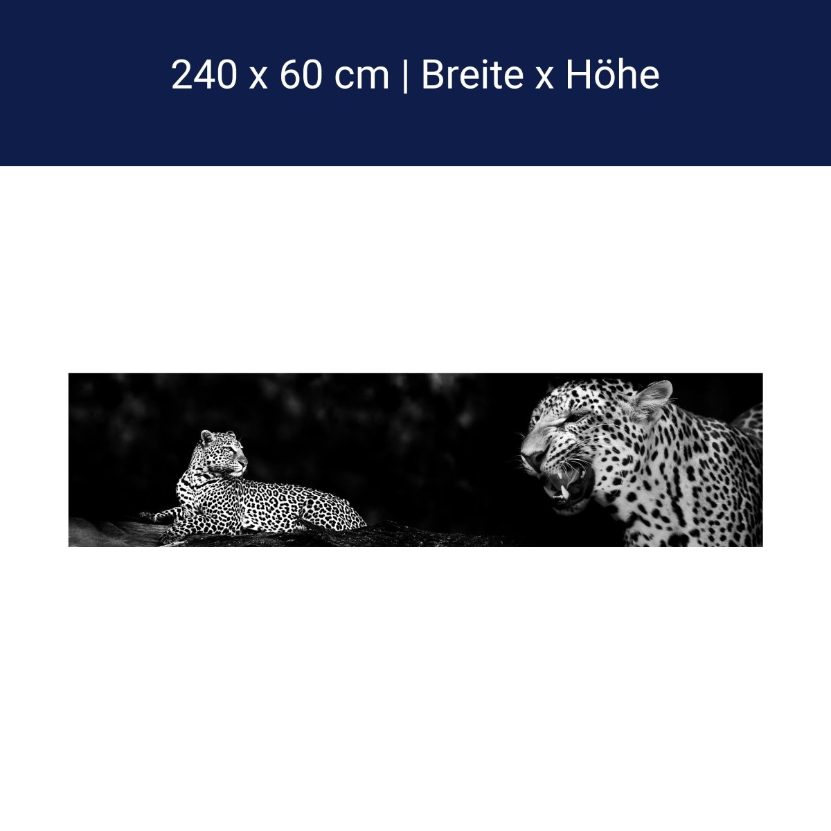 Küchenrückwand Leopard Schwarz Weiß Raubkatze Fauchen M1167 Küchenrückwand Leopard Schwarz Weiß Raubkatze Fauchen M1167