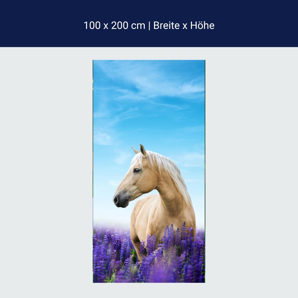 Türtapete Pferd in Lupinen Feld, Himmel, Lila M1170