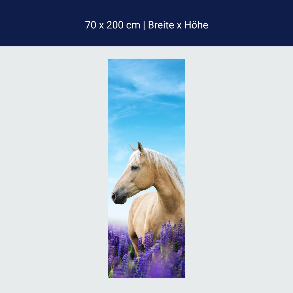 Türtapete Pferd in Lupinen Feld, Himmel, Lila M1170