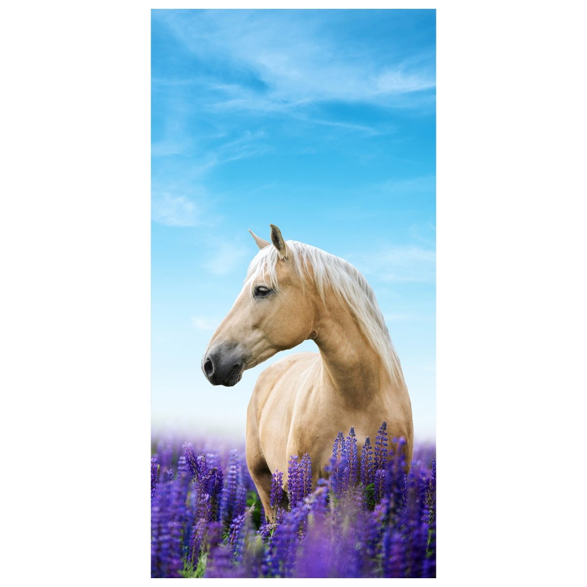 Türtapete Pferd in Lupinen Feld, Himmel, Lila M1170 - Bild 2