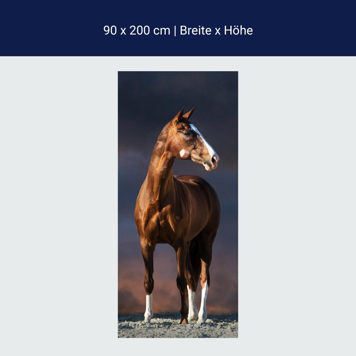 Türtapete Pferd auf Pfad, dunkle Wolken, Tiere M1175