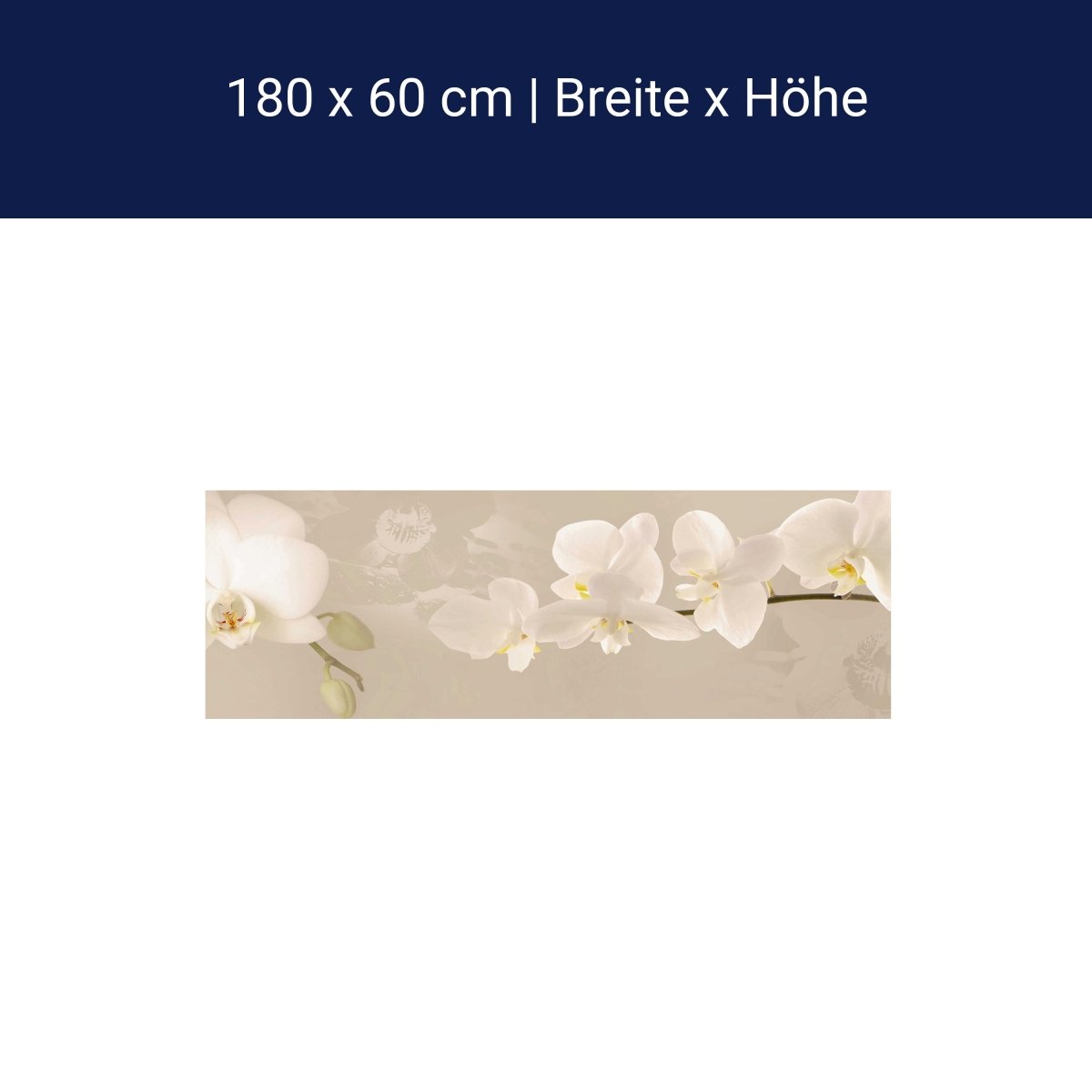 Küchenrückwand Orchidee Zweig Hell Hintergrund Weiß M1226 Küchenrückwand Orchidee Zweig Hell Hintergrund Weiß M1226