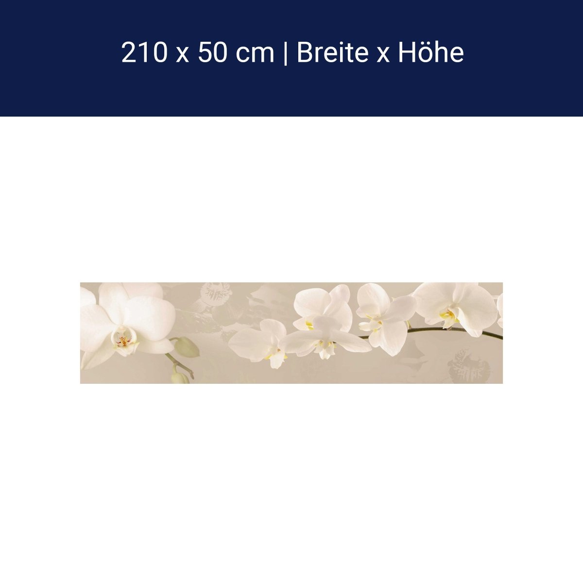 Küchenrückwand Orchidee Zweig Hell Hintergrund Weiß M1226 Küchenrückwand Orchidee Zweig Hell Hintergrund Weiß M1226